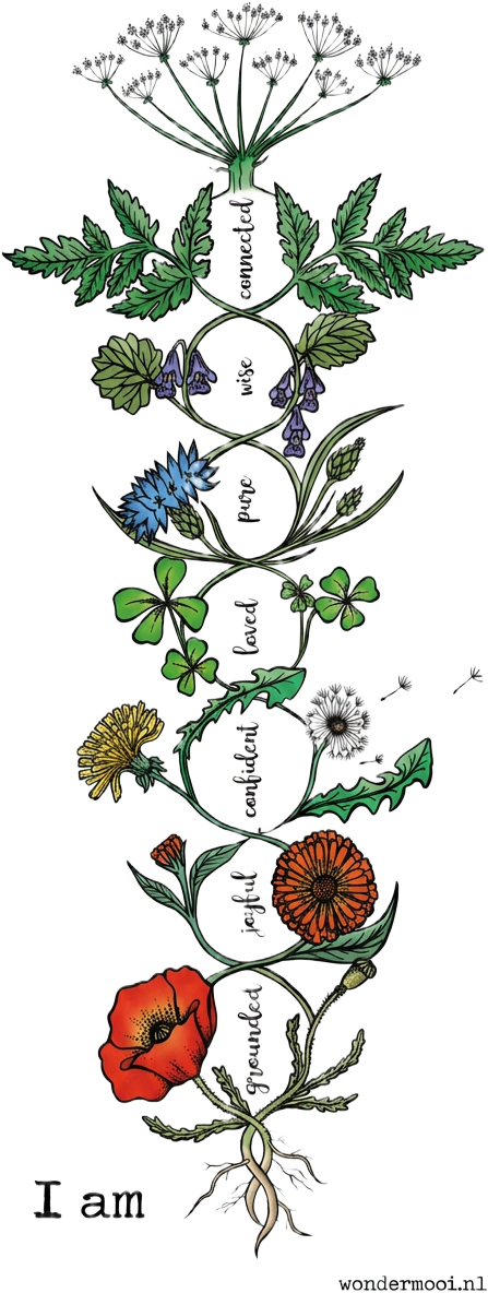 Bloemenkundalini: klaproos, calendula, paardenbloem, rode klaver, korenbloem, hondsdraf en fluitenkruid als opeenvolgende bloemen langs de wervelkolom